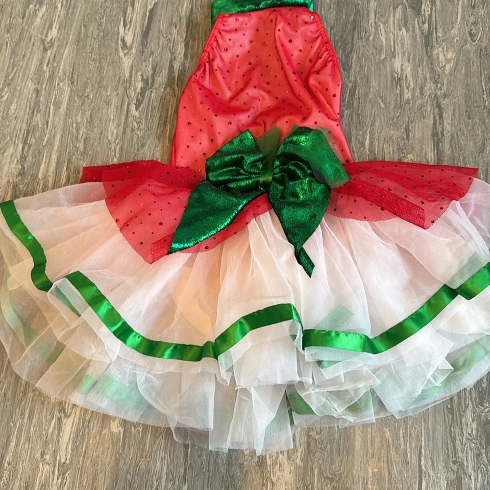 Cicci Dance Costume Leotard Tutu Ballet